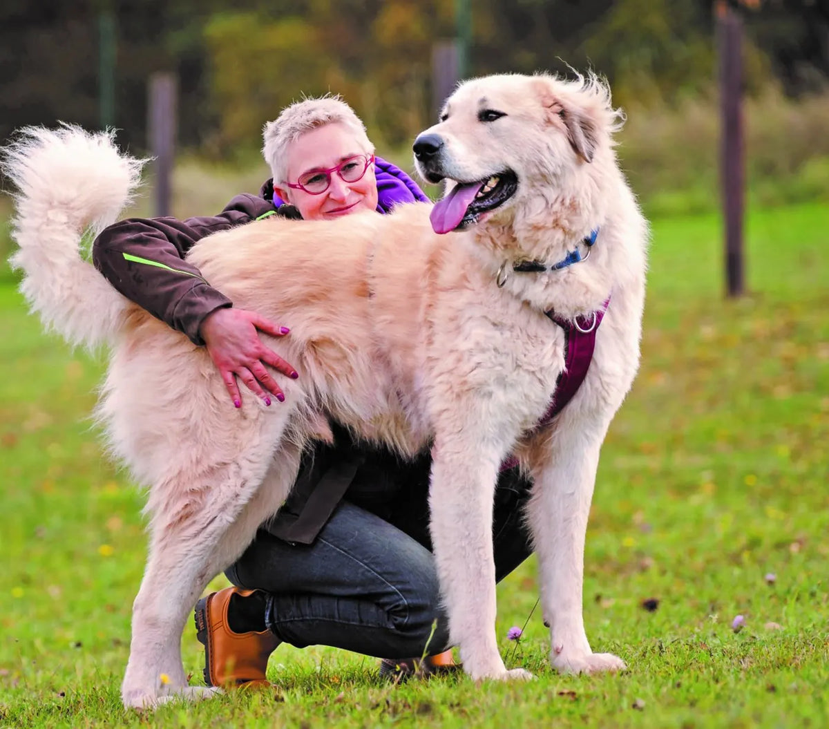 Mirjam Cordt umarmt einen großen weißen Herdenschutzhund auf einer Wiese