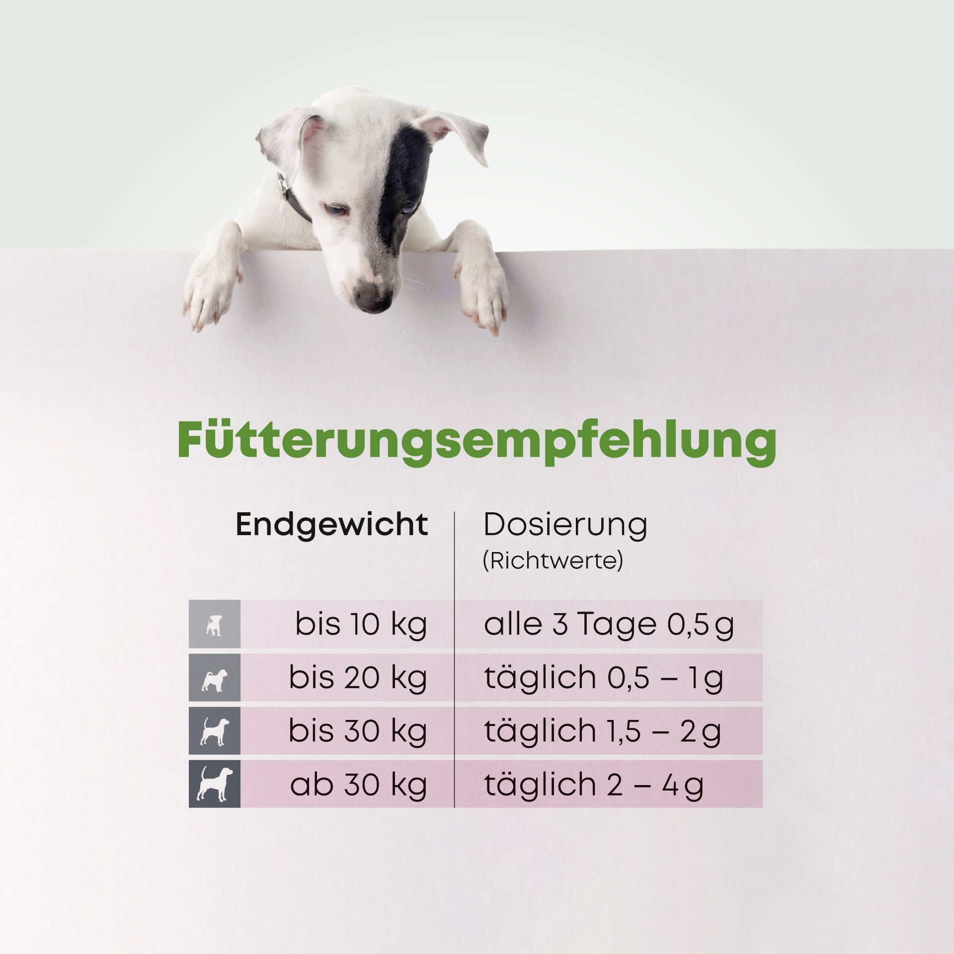B-Komplex - bewusste Balance Für starke Nerven und sanfte Seelen