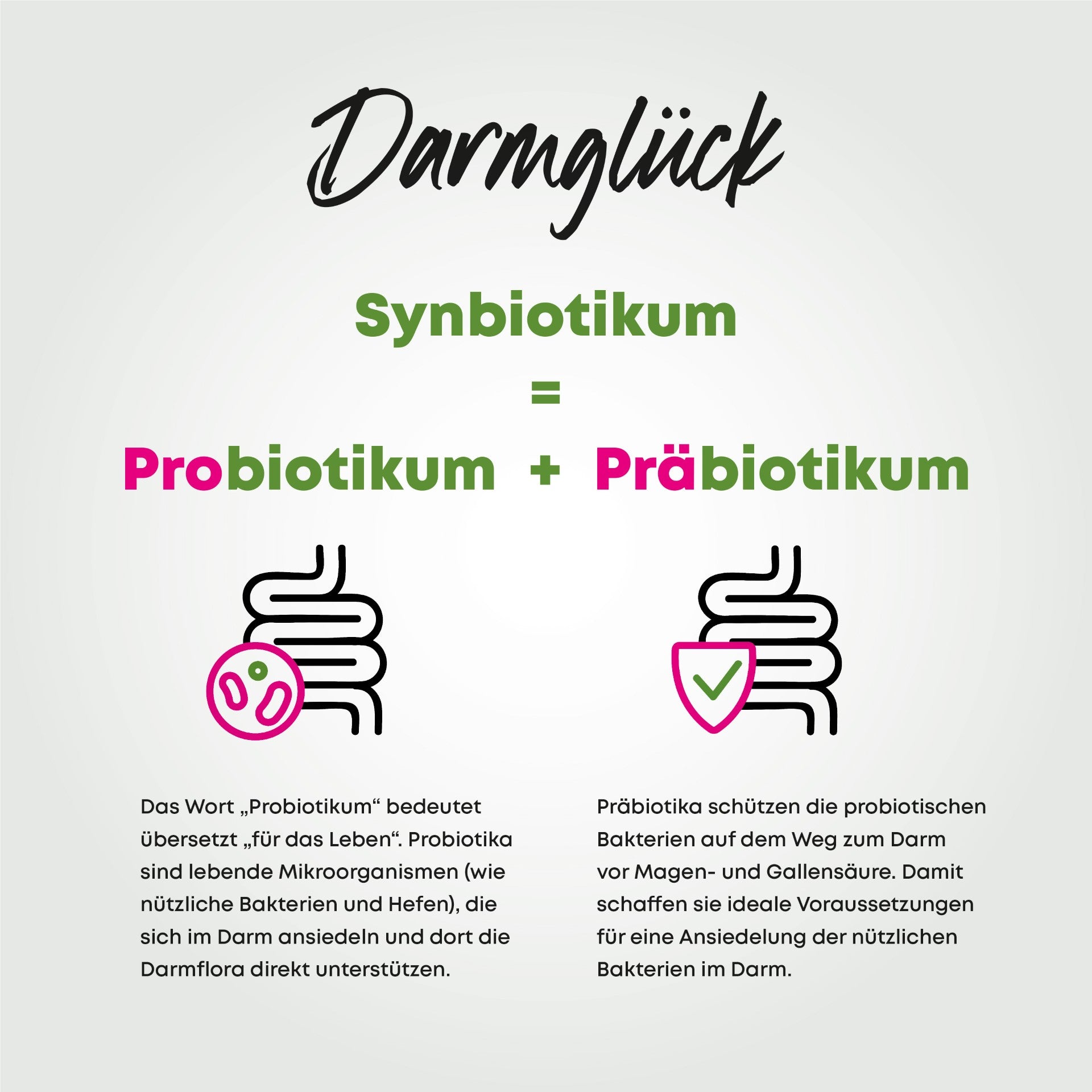 Synbiotikum - Darmglück Weil Darmgesundheit mehr als nur Verdauung ist