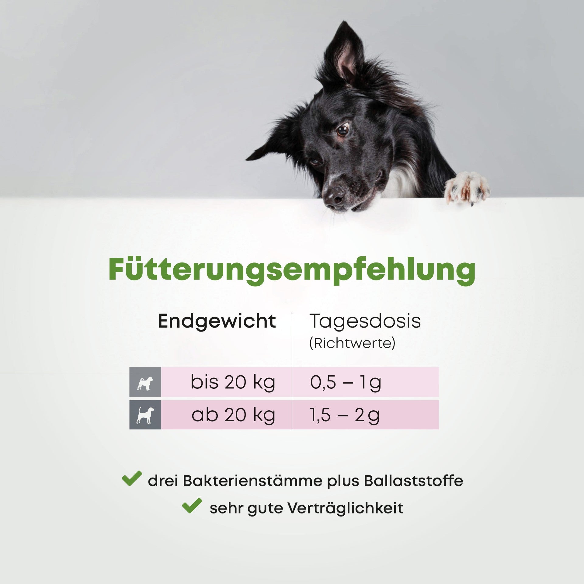 Synbiotikum - Darmglück Weil Darmgesundheit mehr als nur Verdauung ist
