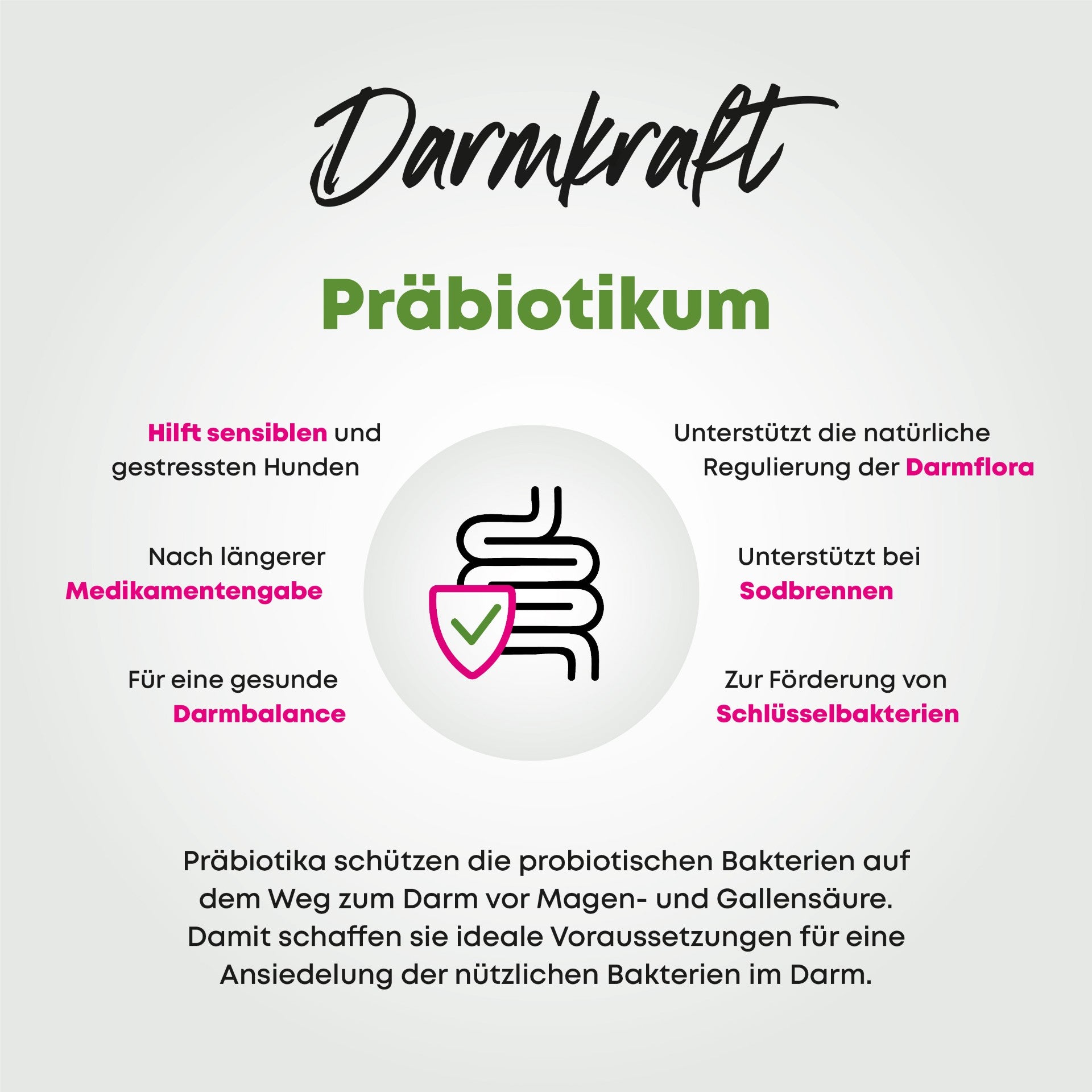 Präbiotikum - Darmkraft - GROW Nachfüllpack - Weil auch die besten Darmbakterien Hunger haben