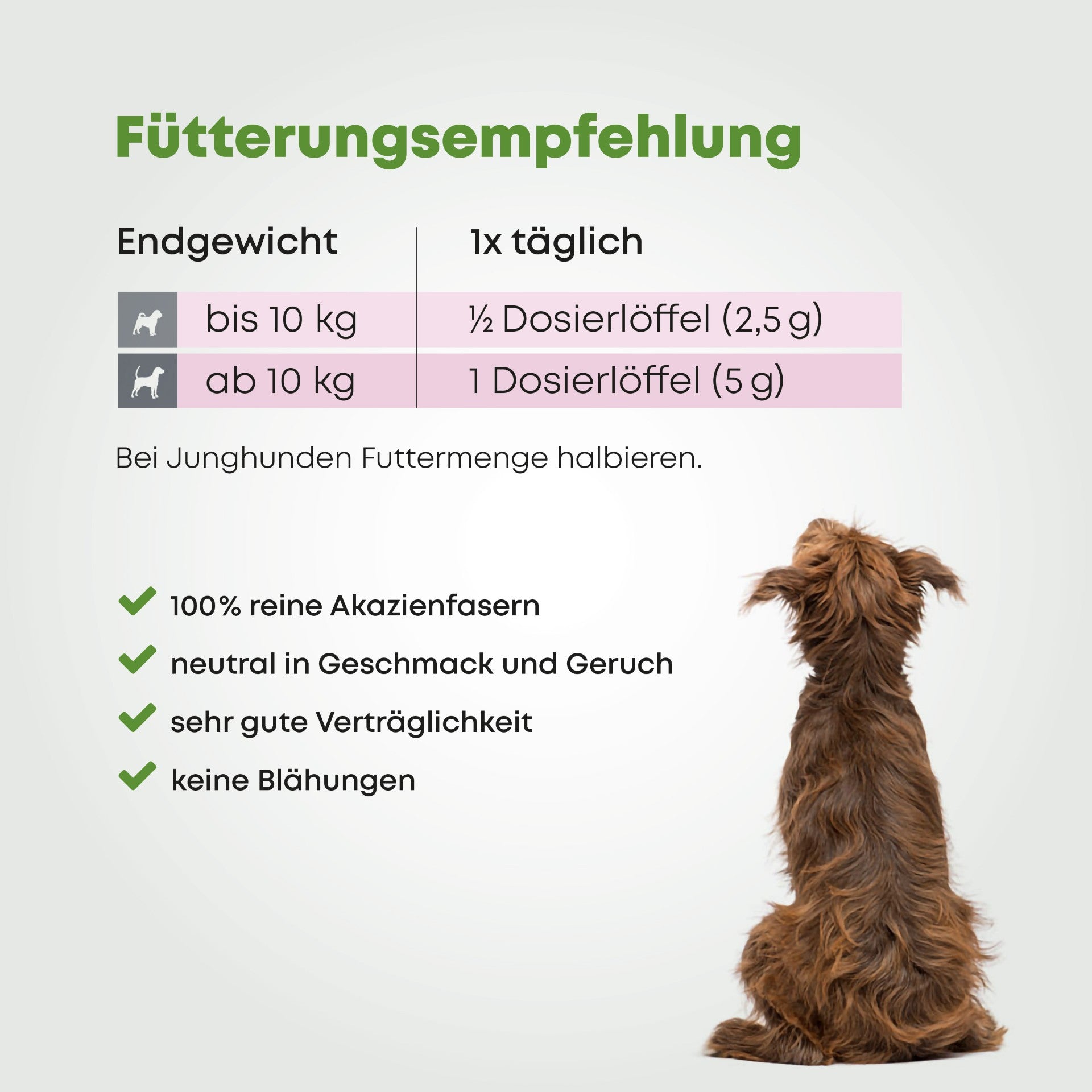 Präbiotikum - Darmkraft Weil auch die besten Darmbakterien Hunger haben