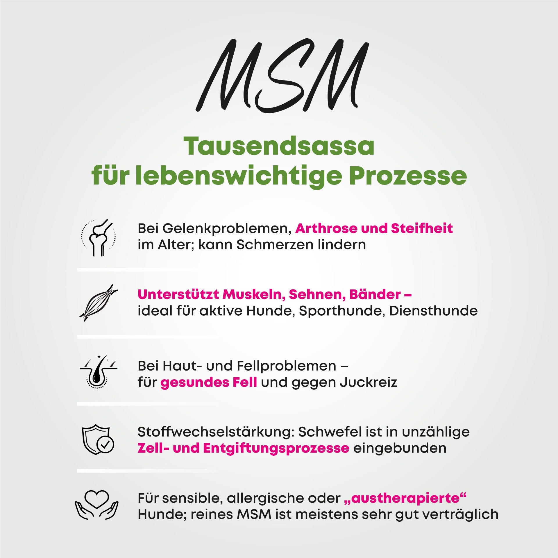 MSM - Tausendsassa Ohne diesen Baustein fehlt ´was