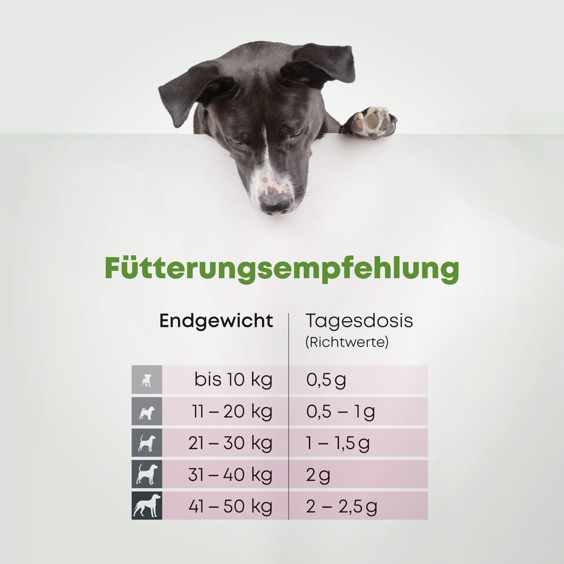 MSM - Tausendsassa Ohne diesen Baustein fehlt ´was